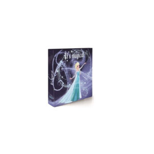 Album foto disney 100 foto 13,5x19 Frozen