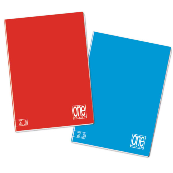 Maxi quaderni con più fogli – Colori Standard - Quadretto da 4MM - Confezione da 10 Pezzi - colori assortiti - immagine 2